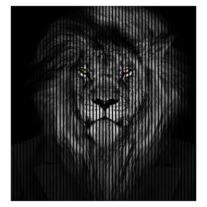 Profiles and more Akustikpaneel Löwe - 2.400 x 2.253 x 19 mm - Stilvolles Löwenporträt in Schwarz-Weiß mit vertikalen Streifen, das Stärke und Eleganz vereint. Perfekt als Wandkunst für moderne Räume.
