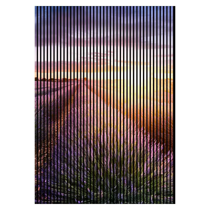 Profiles and more Akustikpaneel Lavendel - 2.400 x 1.693 x 19 mm - Vertikale Streifen über einem violetten Lavendelfeld bei Sonnenuntergang. Ein ruhiges und künstlerisches Landschaftsbild mit warmen Farben.