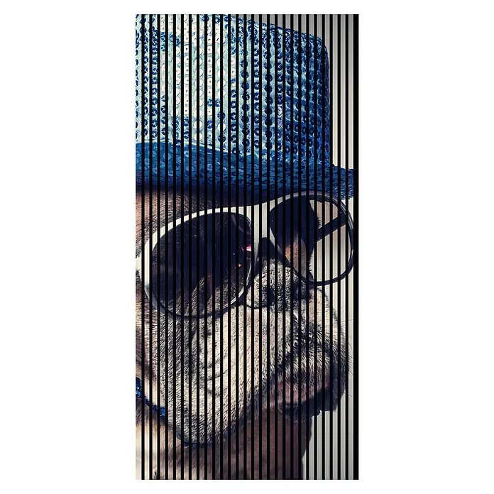 Profiles and more Akustikpaneel Discohund - 2.400 x 1.133 x 19 mm - Hund mit cooler Sonnenbrille und blauem Hut mit Pailletten. Stylischer Look des Hundes.