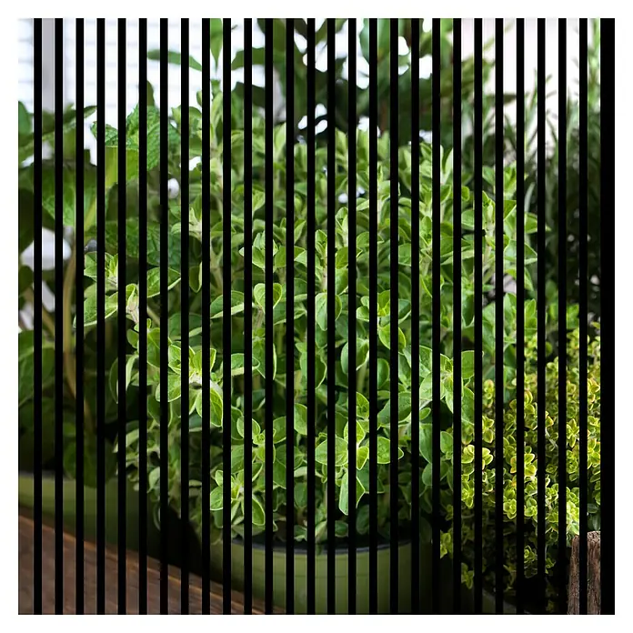 Profiles and more Akustikpaneel Oregano - 1.195 x 1.133 x 19 mm - Nahaufnahme von Topfpflanzen mit üppigem Grün, ideal für Kräutergärten. Die vertikalen Linien verleihen einen modernen Touch.
