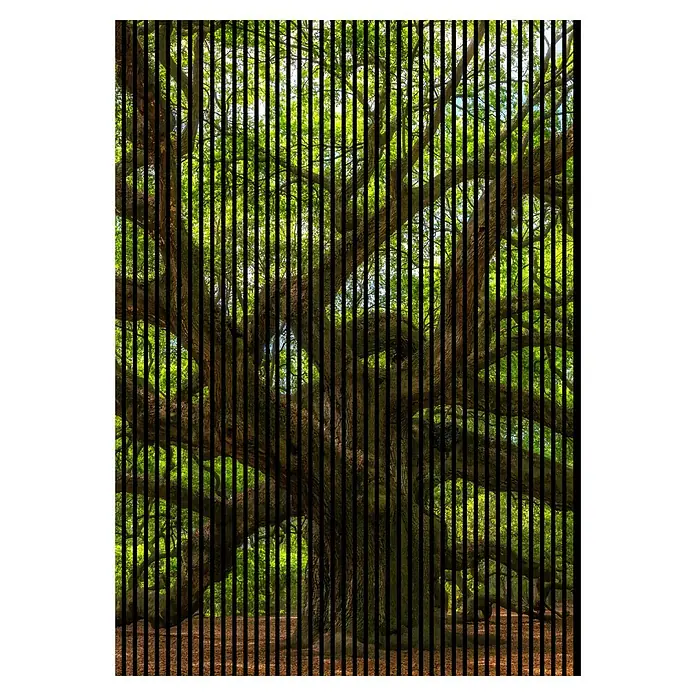 Profiles and more Akustikpaneel Baum - 2.400 x 1.693 x 19 mm - Abstraktes Bild eines alten Baumes mit vertikalen schwarzen Streifen, die eine faszinierende visuelle Textur erzeugen.