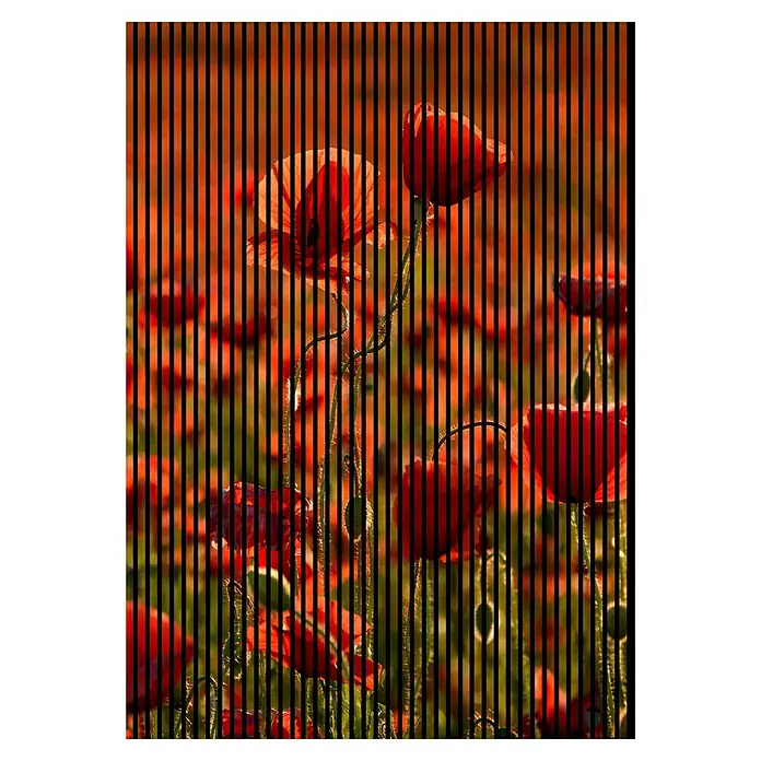 Profiles and more Akustikpaneel Mohn - 2.400 x 1.693 x 19 mm - Nahaufnahme von roten Mohnblumen in einem Feld, teilweise durch vertikale schwarze Linien verdeckt, die einen optischen Effekt erzeugen.