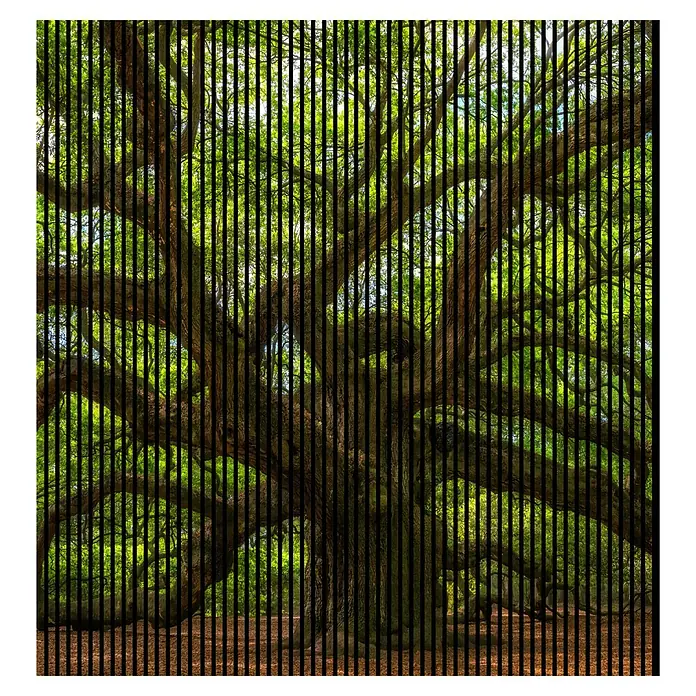 Profiles and more Akustikpaneel Baum - 2.400 x 2.253 x 19 mm - Ein prächtiger Baum, gefiltert durch vertikale Linien, dominiert das Bild und betont die Textur von Ästen und Blättern.