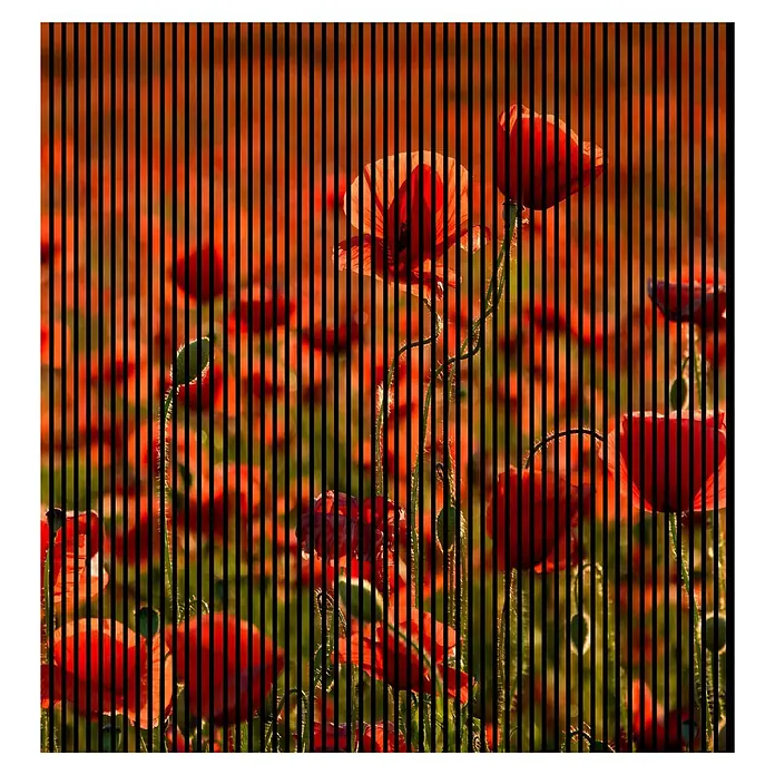 Profiles and more Akustikpaneel Mohn - 2.400 x 2.253 x 19 mm - Feld von roten Mohnblumen mit schwarzen vertikalen Linien, die über das Bild gelegt sind und einen grafischen Effekt erzeugen.