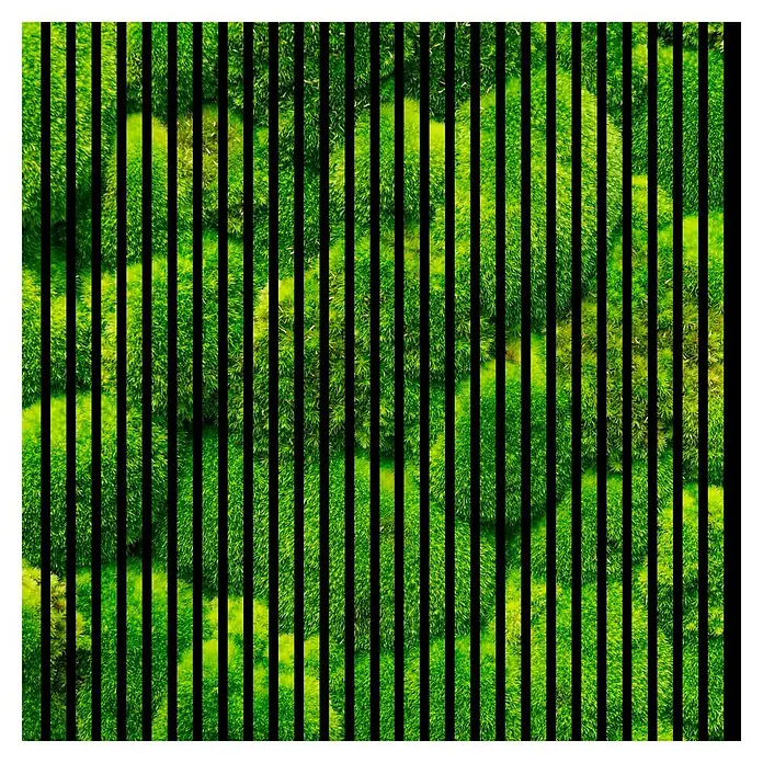 Profiles and more Akustikpaneel Moos - 1.195 x 1.133 x 19 mm - Eine Nahaufnahme von lebhaft grünem Moos, durchzogen von markanten schwarzen vertikalen Linien, die ein strukturiertes Muster erzeugen.