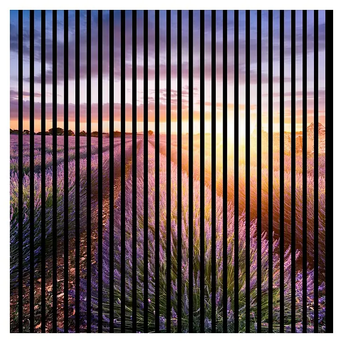 Profiles and more Akustikpaneel Lavendel - 1.195 x 1.133 x 19 mm - Sonnenuntergang über einem Lavendelfeld, unterbrochen durch schwarze Streifen, erzeugt einen einzigartigen visuellen Effekt.