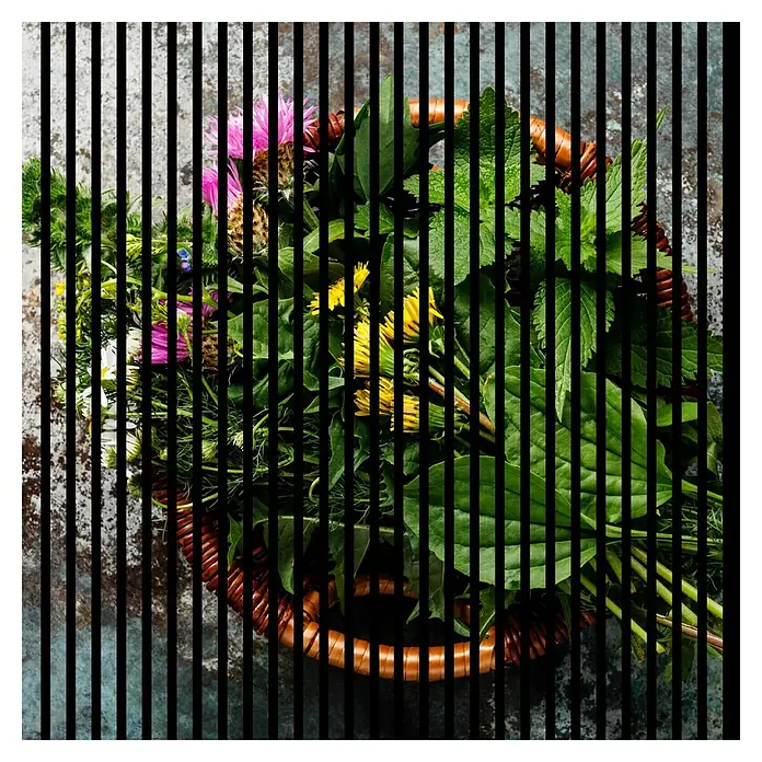 Profiles and more Akustikpaneel Blumen - 1.195 x 1.133 x 19 mm - Korb mit frischen Wildkräutern und essbaren Blüten, kunstvoll arrangiert und durch vertikale Linien hervorgehoben.