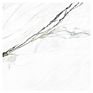 Granitogresne ploščice Freedom (100 x 100 cm, Bela, Sijaj)