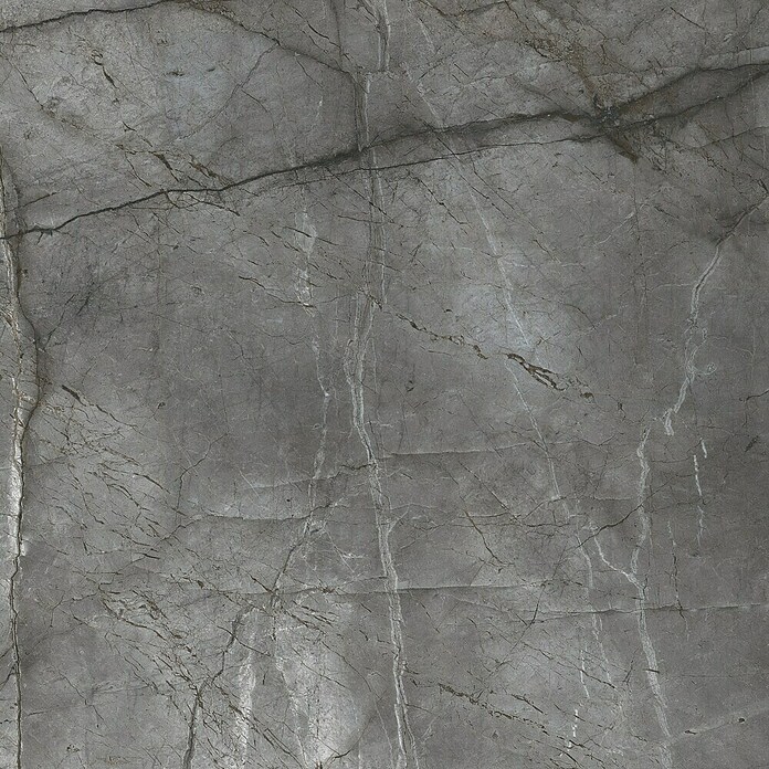 Granitogresne ploščice Room  (100 x 100 cm, Srebrna, Sijaj) | 4240 - Natursteinoptik | EAFA - Bodenfliesen | EAF - Fliesen | EA - Fliesen | E - Fliesen | BAUHAUS