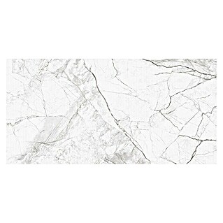 Wandfliese Riva (30 x 60 cm, Weiß/Grau, Glänzend)