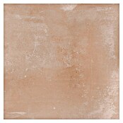 Feinsteinzeugfliese Chateau (100 x 100 cm, Cotto/Beige, Matt) | BAUHAUS