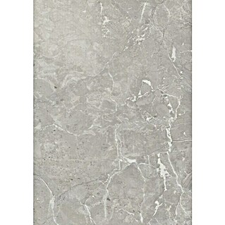 CUCINE Kuhinjska zidna obloga (410 x 64 cm, Debljina: 9,2 mm)
