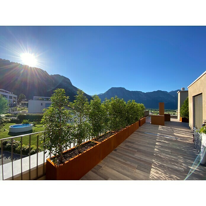 Palatino Exlusive Line Maceta (120 x 40 x 50 cm, Acero Corten, Rojo-pardo)
