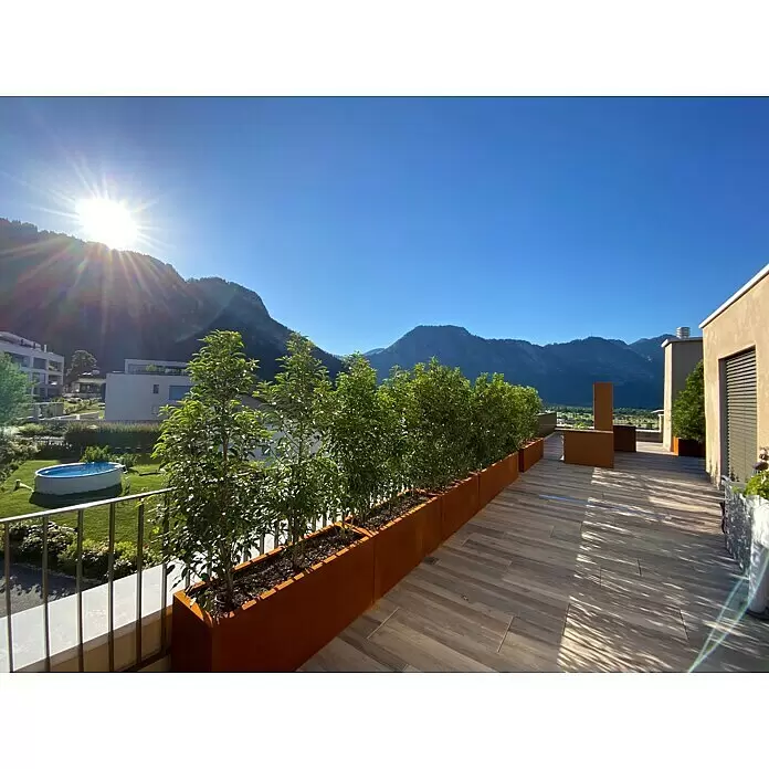 Palatino Exclusive Line Macetero para plantas Lotte - 120 x 40 x 50 cm, Acero Corten, Rojo-pardo - Una hilera de maceteros rectangulares de metal oxidado con plantas verdes en una terraza moderna con vistas a la montaña.