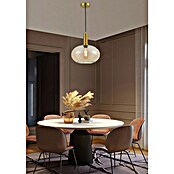 Lámpara colgante redonda (Ø x Al: 30 x 150 cm, Ámbar, E27) | BAUHAUS