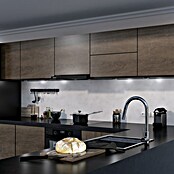 Wiggo Vlakschermafzuigkap WE-D620B-B (Breedte: 59,5 cm, Zwart, Max. afzuigcapaciteit luchtafvoer: 296 m³/u) | BAUHAUS