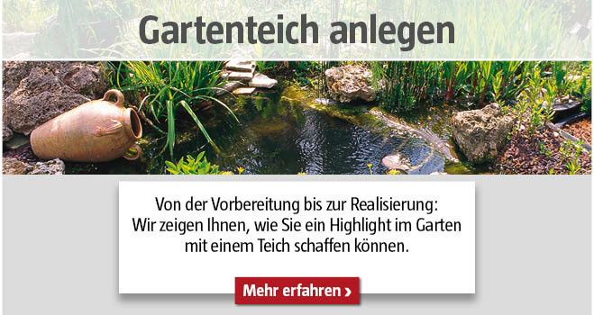 Gartenteich anlegen