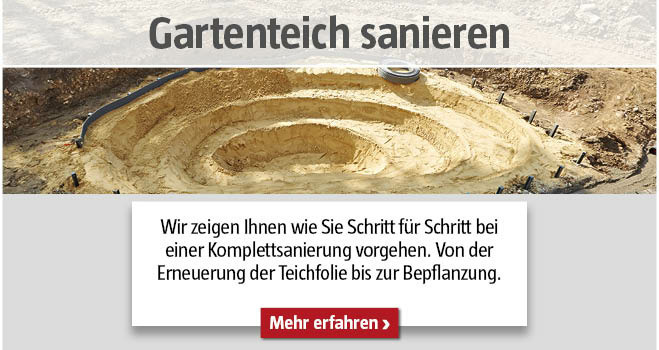 Gartenteich sanieren
