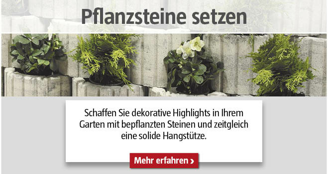 Pflanzsteine