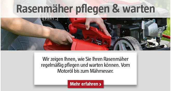 Rasenmäher pflegen und warten