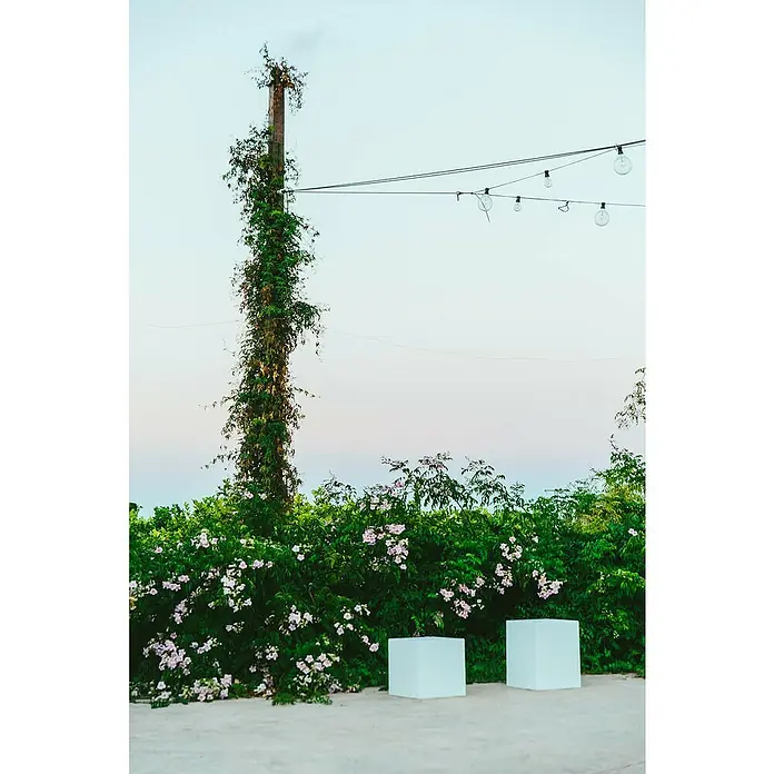 Starlux Cubo solar LED Gopi 32 - 32 x 32 x 32 cm - Diseño de jardín atmosférico con cubos exteriores brillantes, plantas exuberantes y una romántica cadena de luces para un ambiente acogedor.