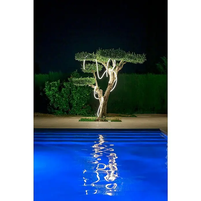 New Garden LED-Lichtschlauch Neo - 36 W, Länge: 3 m, Warmweiß, 3.000 lm - Nachtszene mit einem beleuchteten Baum neben einem Pool, dessen Licht sich im Wasser spiegelt.