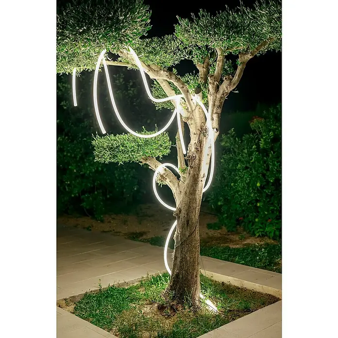 New Garden LED-Lichtschlauch Neo - 36 W, Länge: 3 m, Warmweiß, 3.000 lm - Beleuchteter Baum: Ein Olivenbaum ist nachts mit einer leuchtenden, bogenförmigen Schnur von oben nach unten beleuchtet und schafft eine magische Atmosphäre.