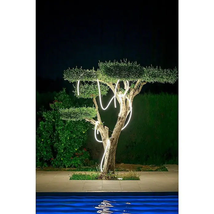 New Garden LED-Lichtschlauch Neo - 36 W, Länge: 3 m, Warmweiß, 3.000 lm - Dekorative Beleuchtung eines Baumes mit Neonröhren in einem Garten.