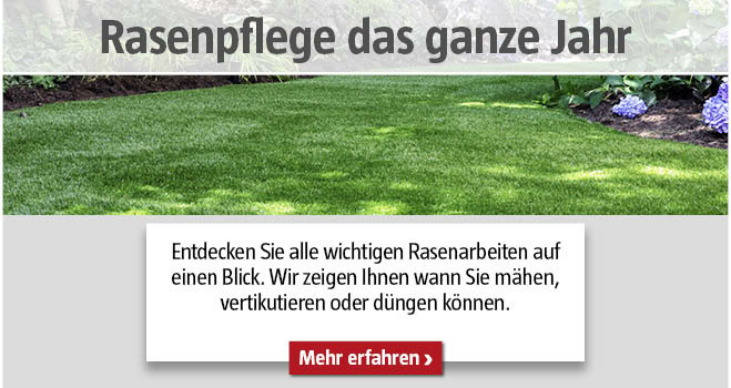 Rasenpflege