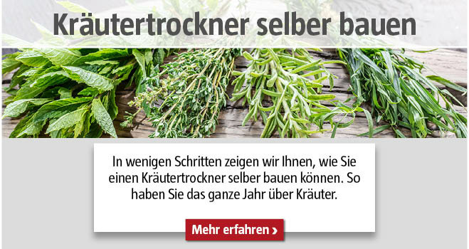 Kräutertrockner bauen