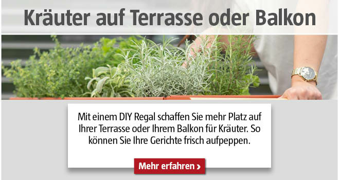 Kräuter am Balkon anpflanzen