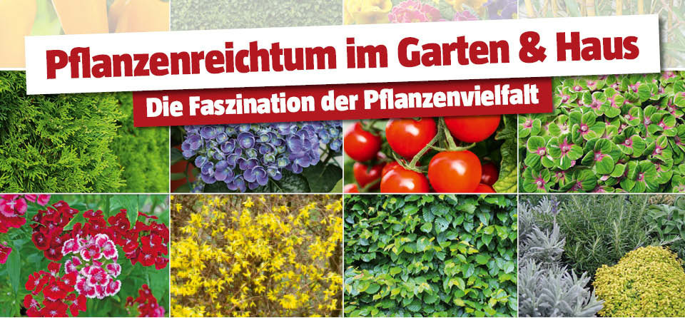 Pflanzenvielfalt