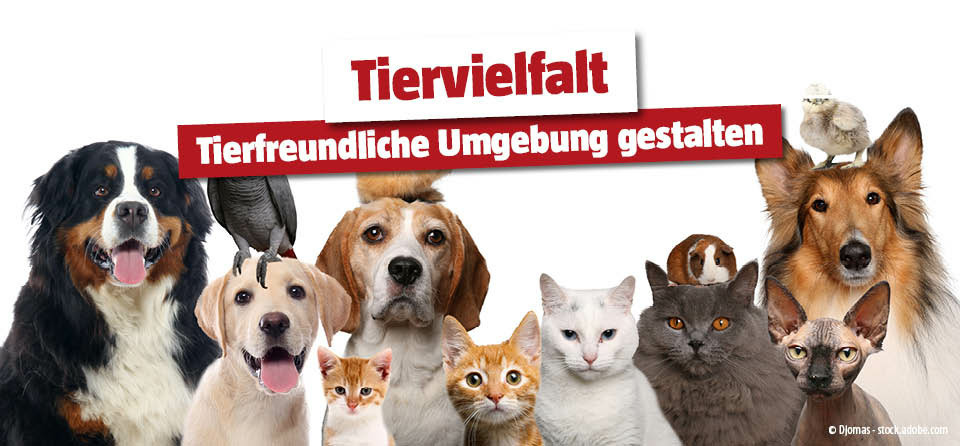 Tierwelt