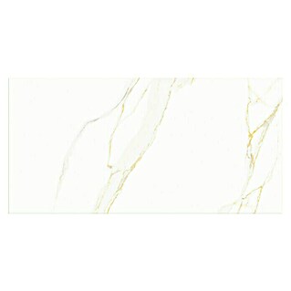 Wandfliese Calacatta (30 x 60 cm, Weiß/Gold, Matt)