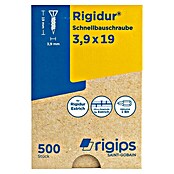 Rigips Schnellbauschrauben (Durchmesser: 3,9 mm, Länge: 19 mm, 500 Stk.) | BAUHAUS