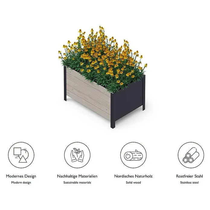Upyard Pflanzkasten Modernbox tief - 78 x 52 x 48 cm, Holz, Grau - Produktbild eines rechteckigen Pflanzgefäßes aus Holz und Stahl mit gelben Rudbeckia-Blüten.