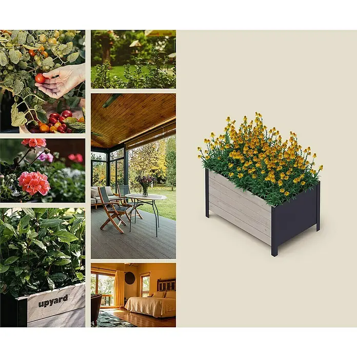 Upyard Pflanzkasten Modernbox tief - 78 x 52 x 48 cm, Holz, Grau - Collage mit Gartenmotiven und Fokus auf einem modernen, zweifarbigen Pflanzgefäß mit gelben Blumen.