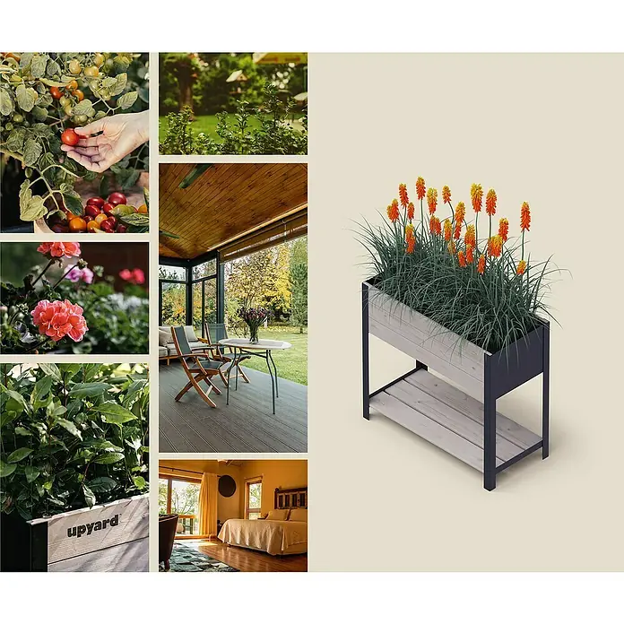 Upyard Hochbeet Modernbox hoch - 78 x 36 x 72 cm, Holz, Grau - Vielfältige Garteninspirationen: Ein rechteckiger Pflanzkasten mit einer dekorativen Bepflanzung aus hohen, orangefarbenen Fackellilien und Ziergräsern.