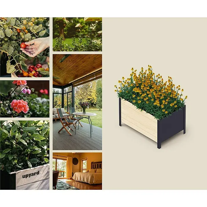 Upyard Pflanzkasten Modernbox tief - 58 x 52 x 48 cm, Holz, Natur - Einrichtungsideen für den Garten: Hier werden Tomaten und Blumen in einem Hochbeet mit Pflanzenkasten gezeigt.