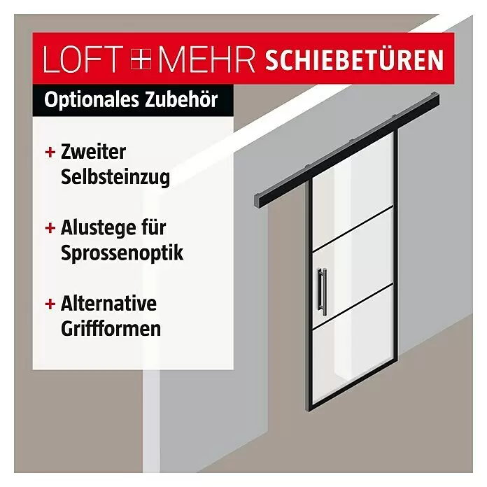 Room Plaza Loft + Mehr Schiebetür-Komplettset - 940 x 2.060 mm, Satiniertes Glas - Grafik bewirbt optionales Zubehör für moderne Schiebetüren: Selbsteinzug, Alustege für Sprossenoptik und alternative Griffformen.