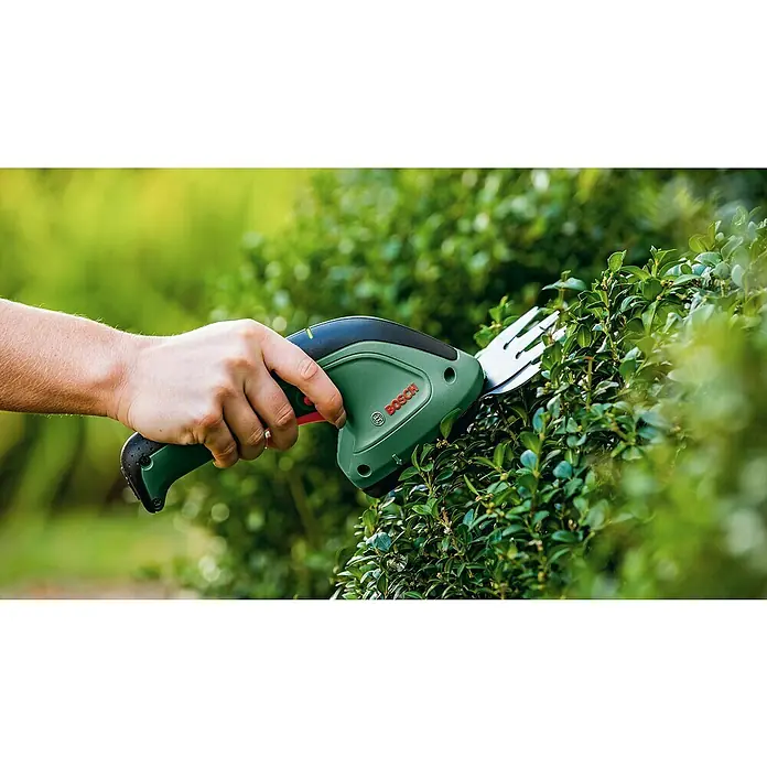 Bosch Akku-Gras- & Strauchschere EasyShear Akku-Gras- & Strauchschere - 3,6 V, Li-Ionen, 1 Akku, Schwertbreite: 8 cm - Eine grüne Bosch Akku-Grasschere im Einsatz, die an einem Buchsbaum verwendet wird. Perfekt für präzise Gartenarbeiten.