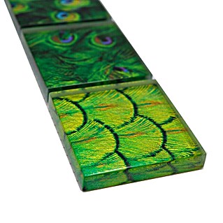 Bordura za pločice Wildlife YBO WL88 (29,8 x 4,8 cm, Sive boje, Sjaj)