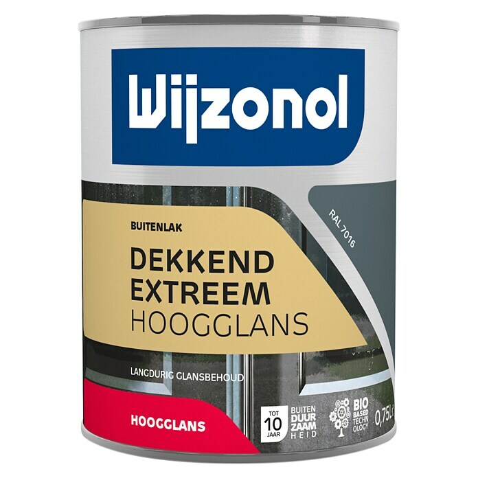 Wijzonol Kleurlak (Antraciet, Hoogglans, 750 ml) | BAUHAUS