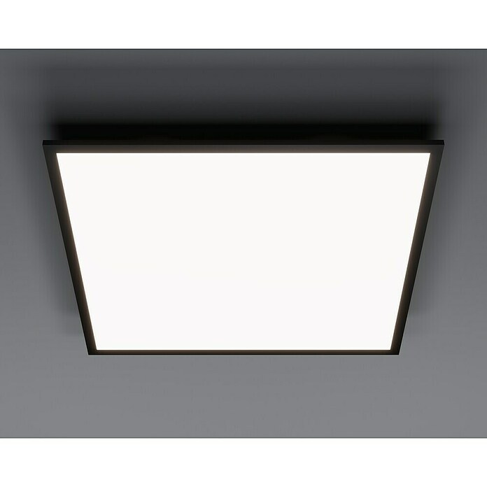 Tween Light LED panel črna  (33 W, Do x Š x V: 59,5 x 59,5 x 5 cm, Črne barve, Nevtralno bela) | 3043 - LED-Panel mit Rahmen | CACD - LED-Panel | CAC - Indoorleuchten | CA - Beleuchtung | C - Elektro | BAUHAUS