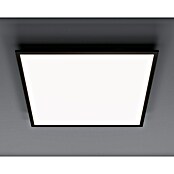 Tween Light LED panel črna  (33 W, Do x Š x V: 59,5 x 59,5 x 5 cm, Črne barve, Nevtralno bela) | 3043 - LED-Panel mit Rahmen | CACD - LED-Panel | CAC - Indoorleuchten | CA - Beleuchtung | C - Elektro | BAUHAUS