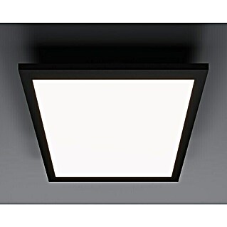 Tween Light LED panel črna (13 W, Do x Š x V: 29,5 x 29,5 x 5 cm, Črne barve, Nevtralno bela)