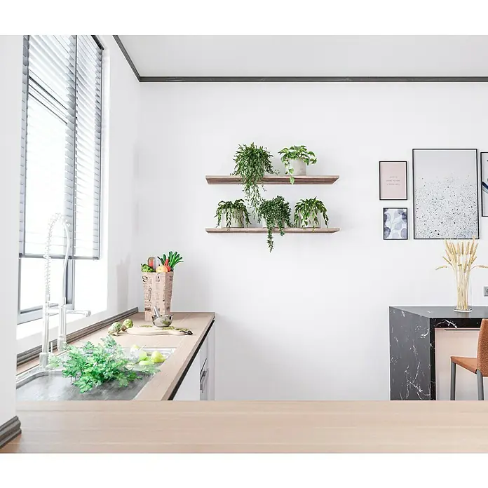 swingcolor Bad- & Küchenfarbe - Weiß, 10 l, Matt - Das Foto zeigt eine helle Küche mit Holzregalen, grünen Pflanzen und einem Fenster mit Jalousien, die für eine gemütliche Atmosphäre sorgen.