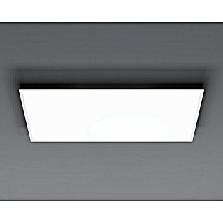 Tween Light LED-Panel RC-CCT-DIM (43 W, L x B x H: 120 x 60 x 5 cm, Weiß, Mehrfarbig)