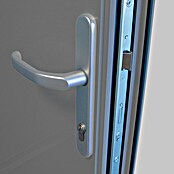 Splendoor Haustür Premium Bonn (100 cm x 210 mm, DIN Anschlag: Links, Graualuminium) | BAUHAUS