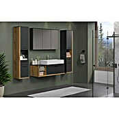 Trendteam Synnax Spiegelschrank (B x H: 120 x 70 cm, Ohne Beleuchtung, Holz, Anthrazit) | BAUHAUS